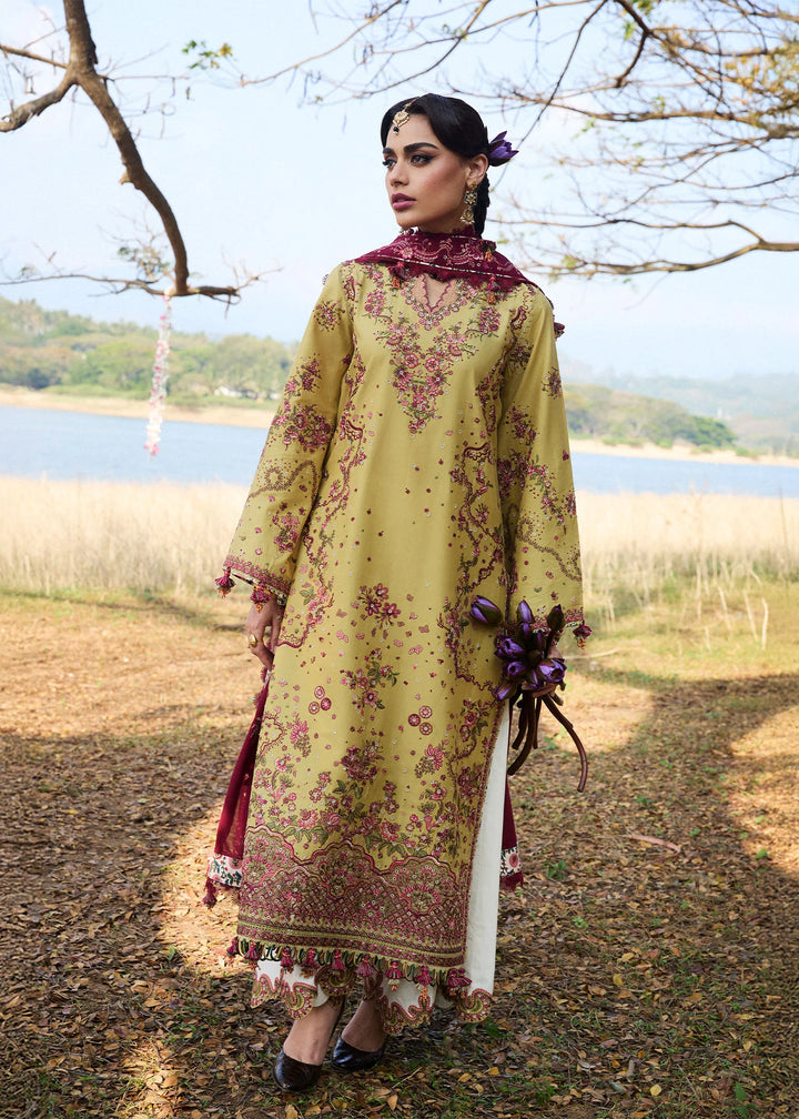 HUSSAIN REHAR LUXURY LAWN COLLECTION MINTED