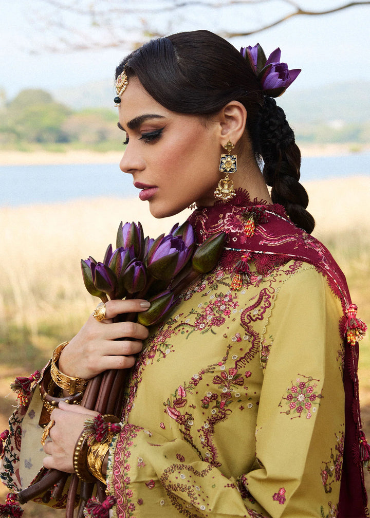 HUSSAIN REHAR LUXURY LAWN COLLECTION MINTED