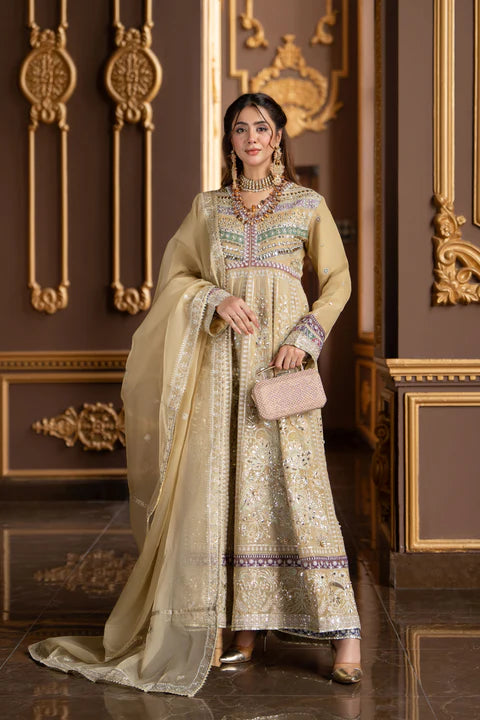 EMBROIDERED PARTYWEAR FROCK ALPW86