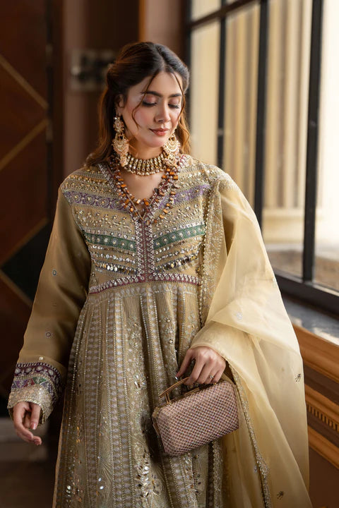 EMBROIDERED PARTYWEAR FROCK ALPW86