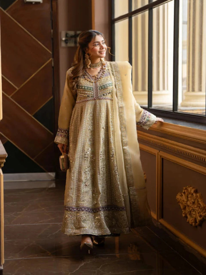 EMBROIDERED PARTYWEAR FROCK ALPW86
