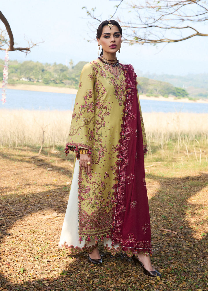 HUSSAIN REHAR LUXURY LAWN COLLECTION MINTED