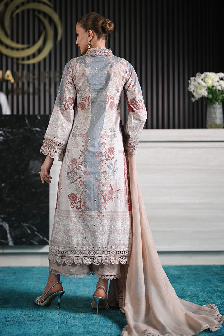 ANSAB JAHANGIR CHIKAN EDIT DOROTHY