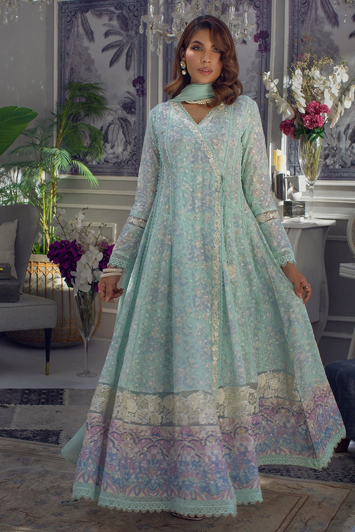 ANSAB JAHANGIR CHIKAN EDIT NISS