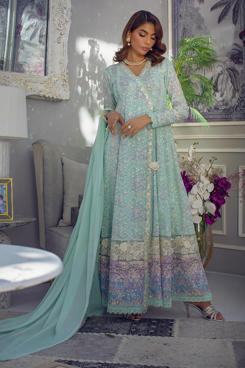 ANSAB JAHANGIR CHIKAN EDIT NISS
