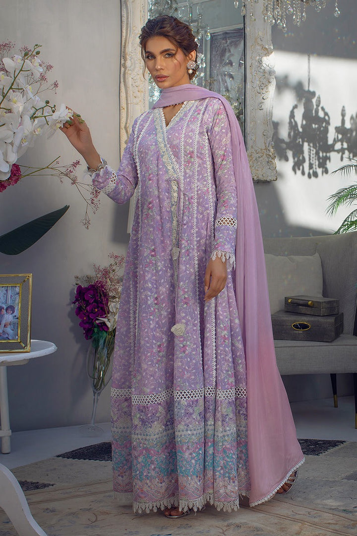 ANSAB JAHANGIR CHIKAN EDIT SHAZ