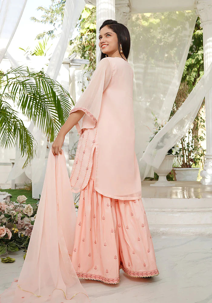 EMBROIDERED HANDWORK GHARARA SUIT SFOC13