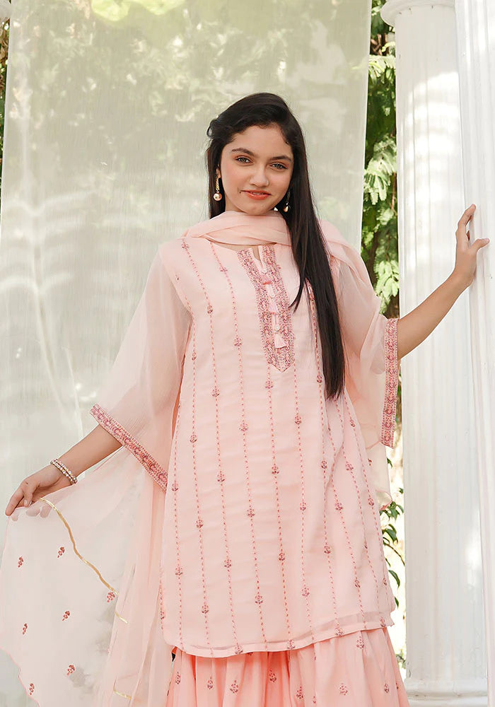 EMBROIDERED HANDWORK GHARARA SUIT SFOC13