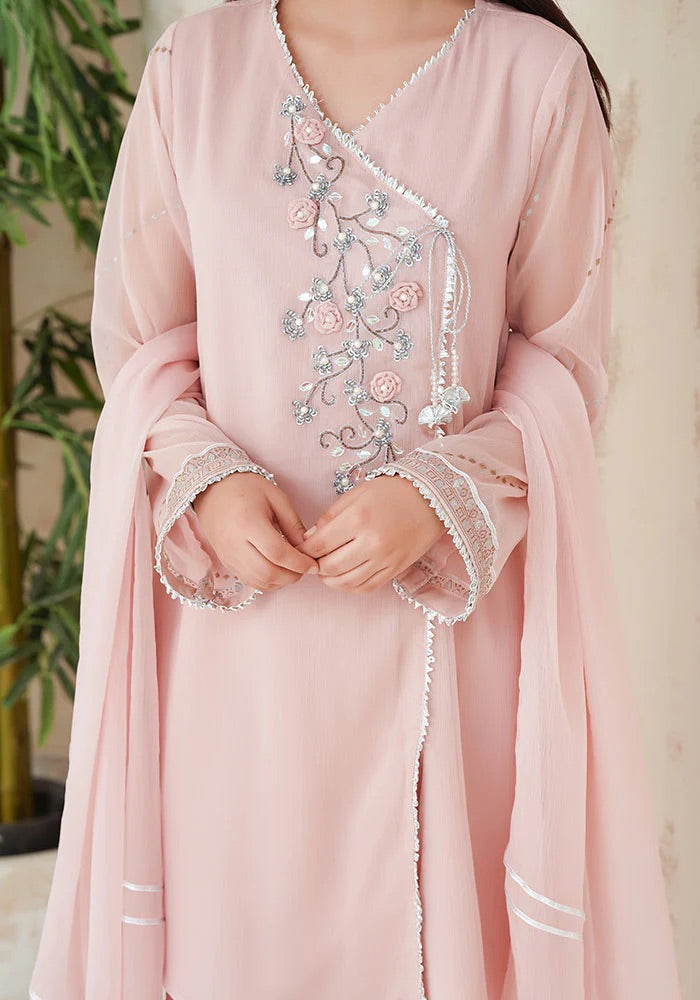 EMBROIDERED CHIFFON KIDS 3-PC SUIT